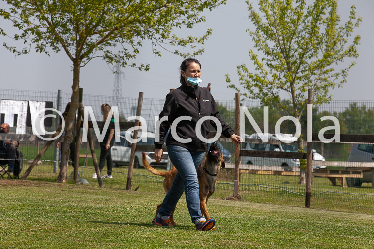 mat_-1046