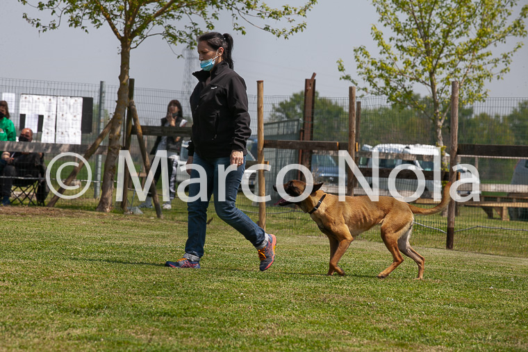 mat_-1052