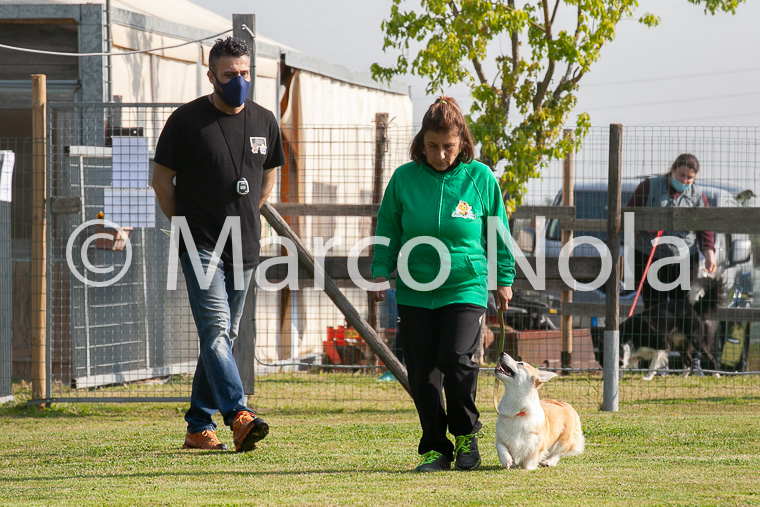 mat_-141