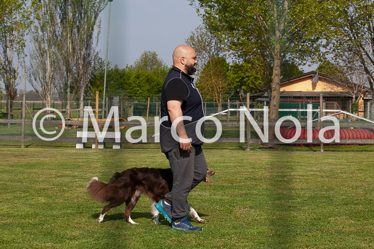 mat_-251