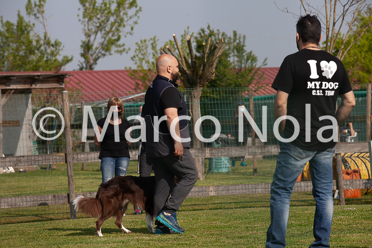 mat_-254