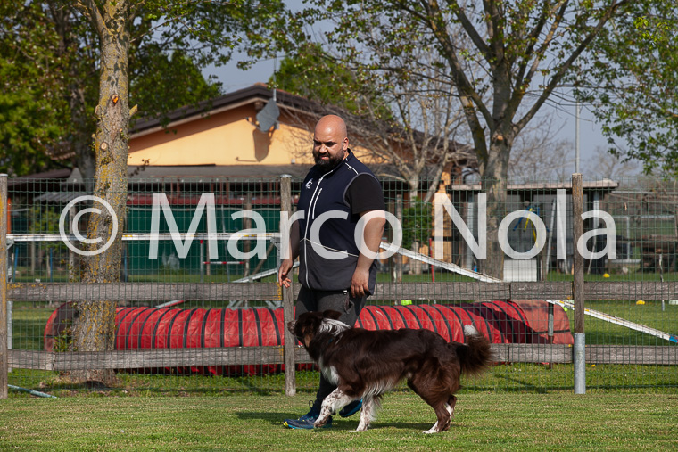 mat_-264