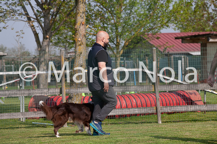 mat_-287