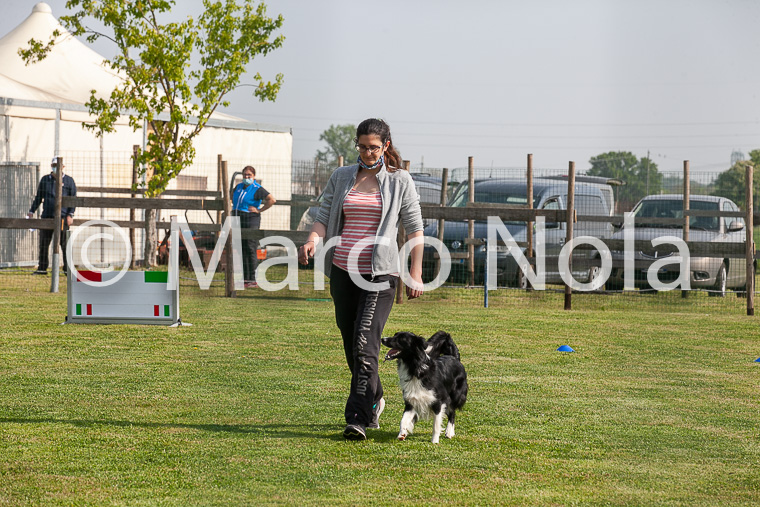 mat_-343