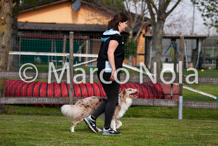 mat_-396