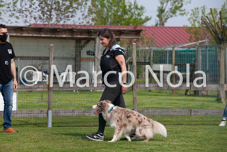 mat_-401
