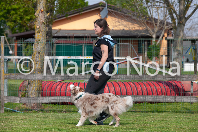 mat_-405