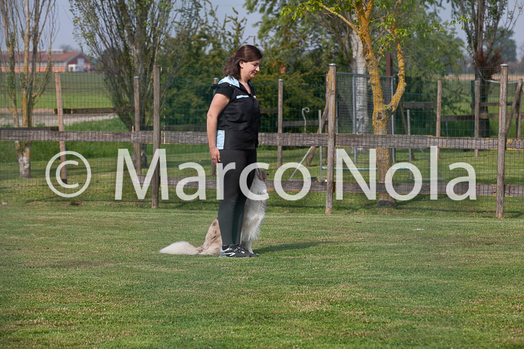 mat_-426