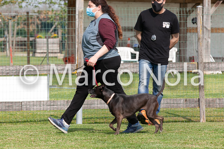 mat_-436