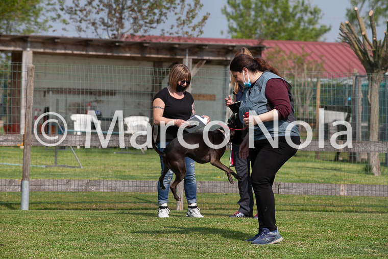 mat_-454
