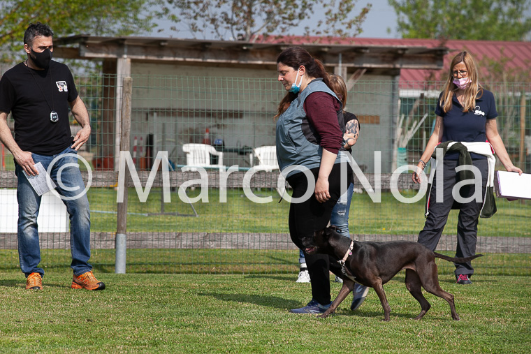 mat_-455