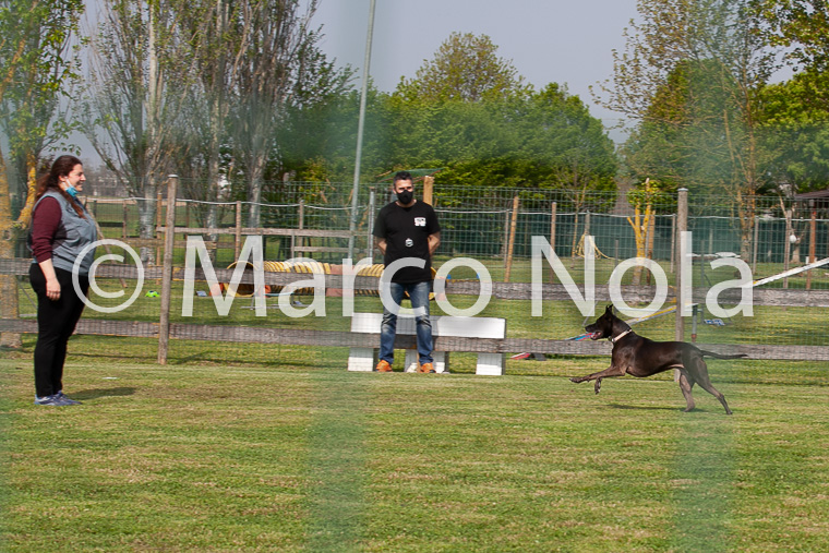 mat_-467