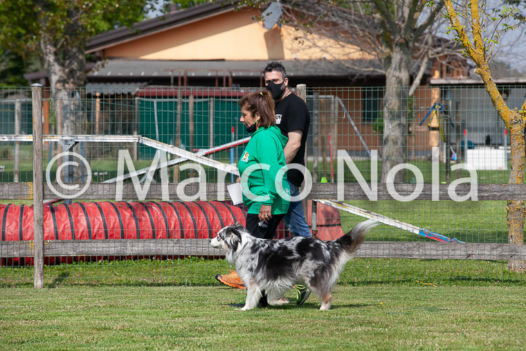 mat_-520