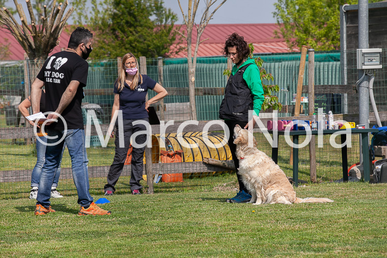 mat_-619