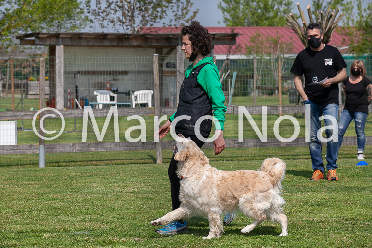 mat_-637