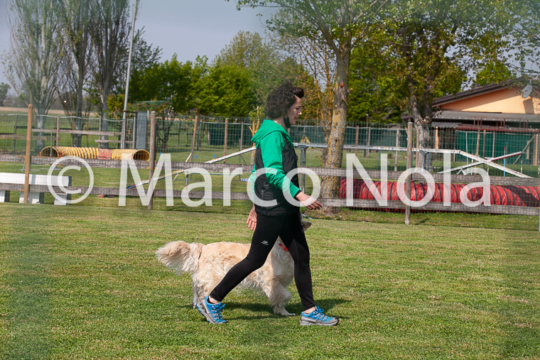 mat_-646