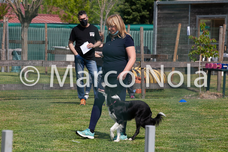 mat_-704