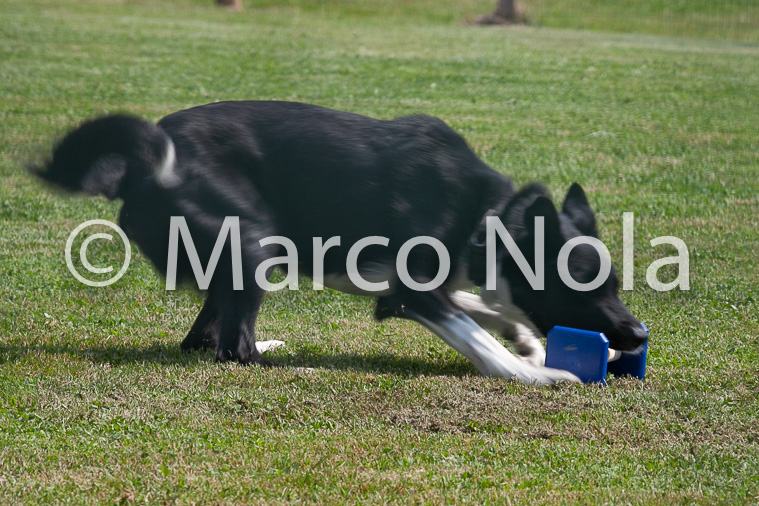 mat_-784