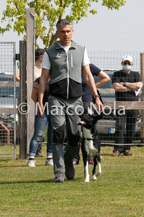 mat_-810