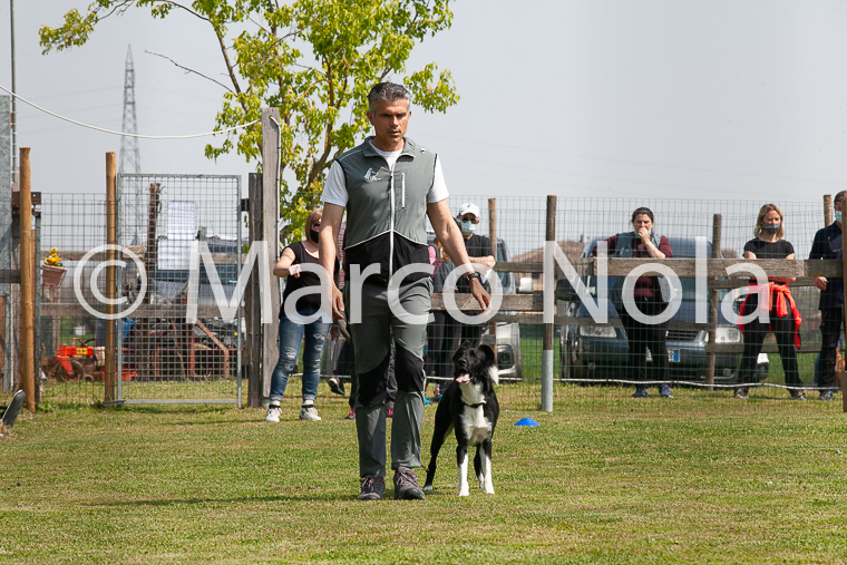 mat_-814
