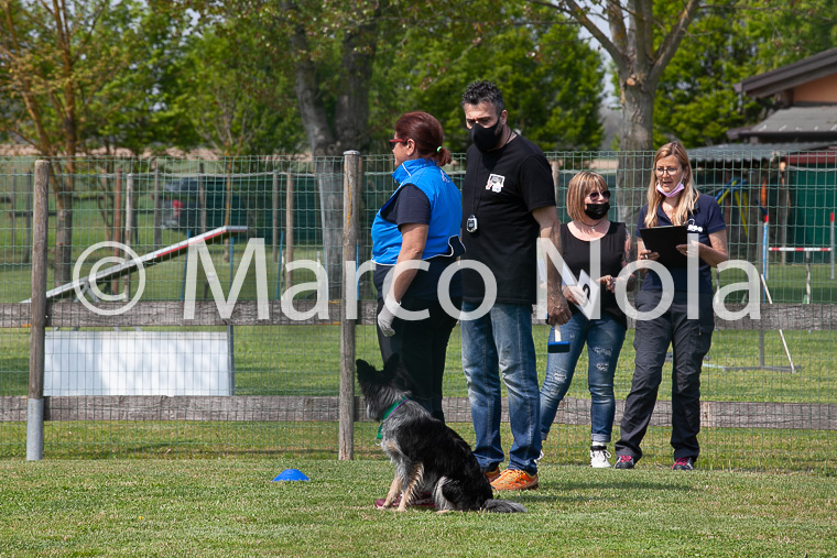 mat_-842