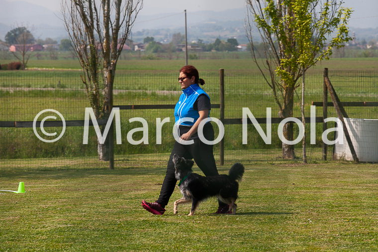 mat_-850