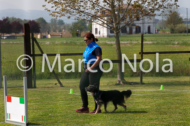 mat_-855