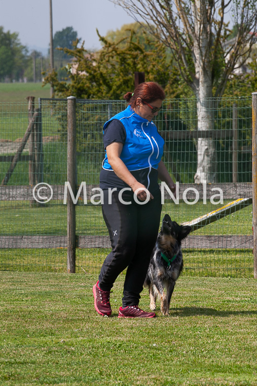 mat_-861