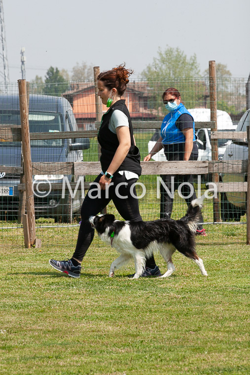 mat_-981